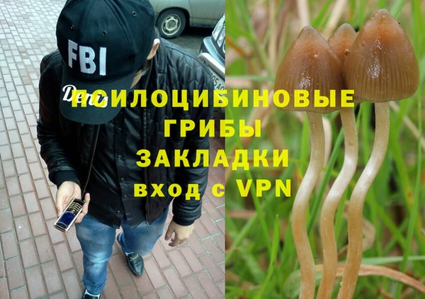 гидра Вяземский