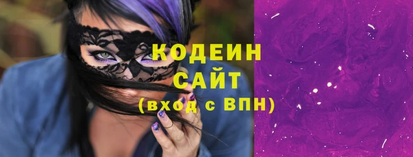 гидра Вяземский