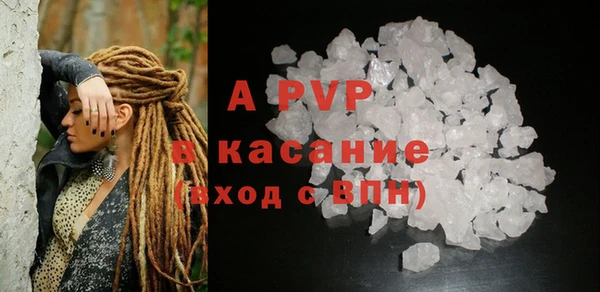 гидра Вяземский