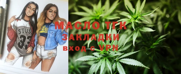 гидра Вяземский