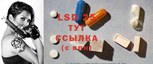 индика Сосновоборск