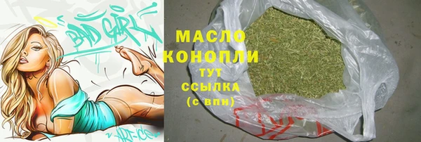 гидра Вяземский