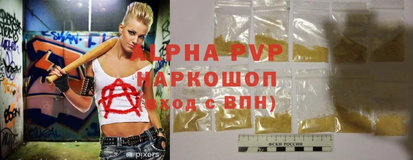 гидра Вяземский